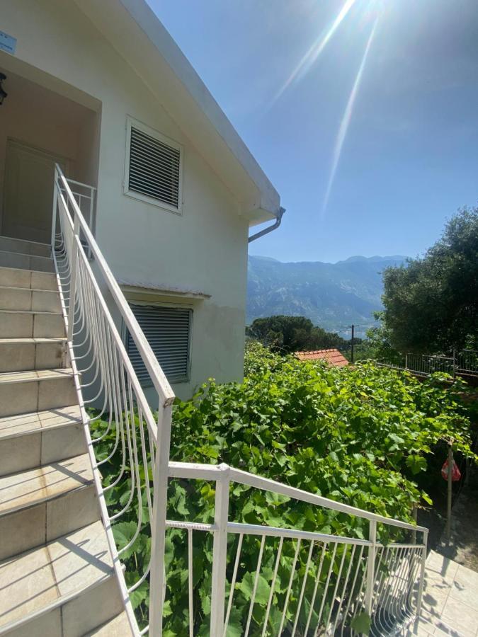 Apartments Djuricic Kotor Exteriér fotografie