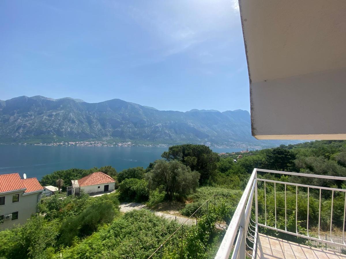 Apartments Djuricic Kotor Exteriér fotografie